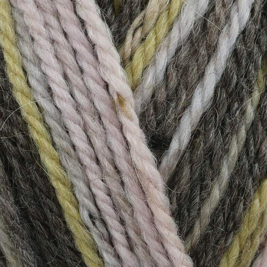 [King Cole] Homespun Prism Blossom Yarn - 110M, 50g Aran