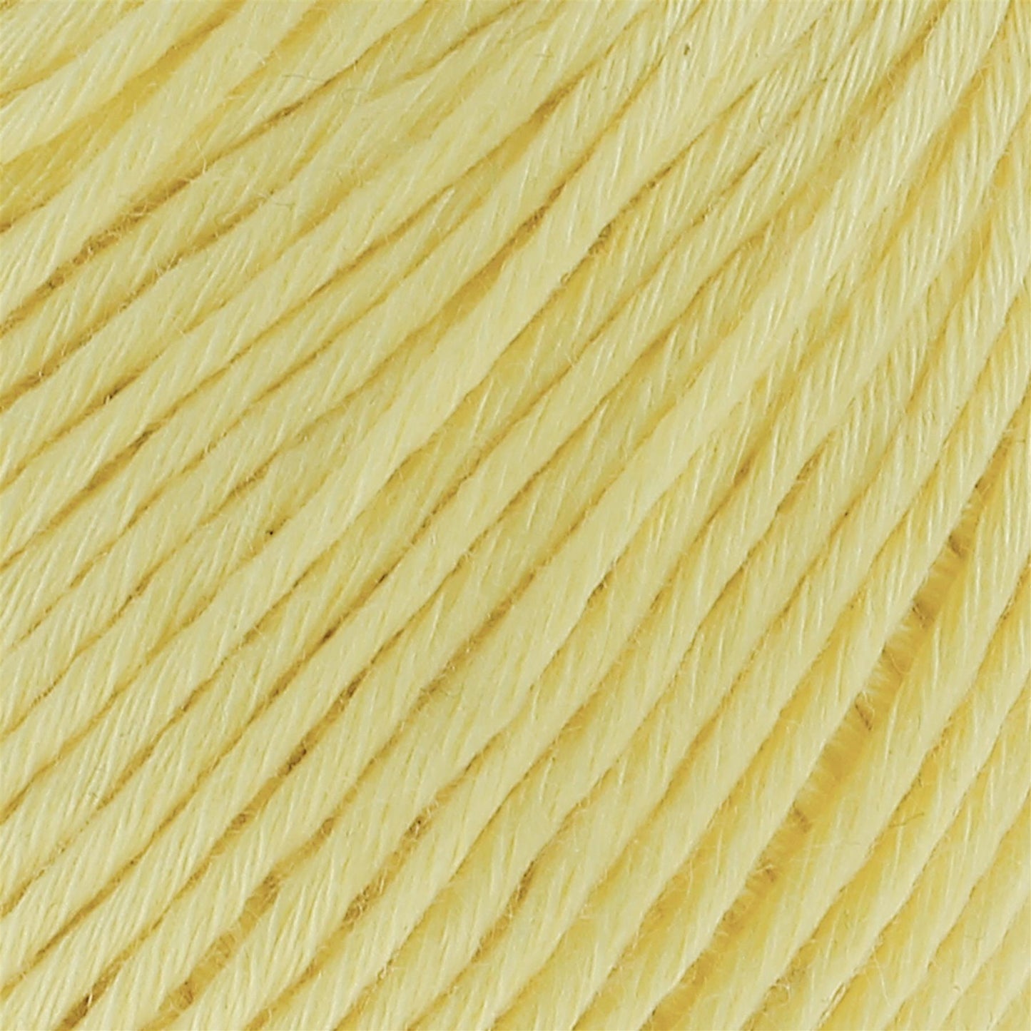 [Hoooked] EC0450G Eucalyps Solare Yellow Eucalyptus Yarn - 82.5M, 50g