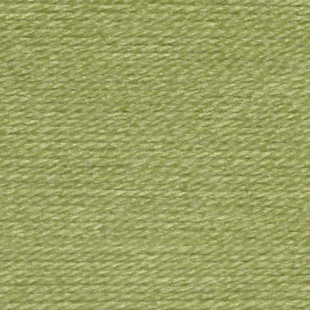 [Wendy Wools] WD26 Supreme Pistachio Yarn - 100g Double Kint