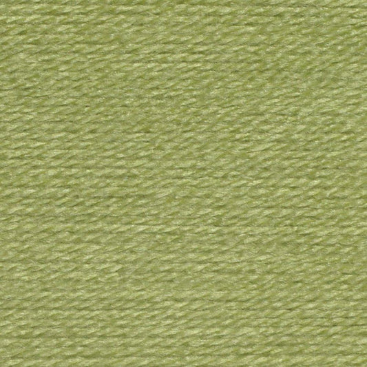[Wendy Wools] WD26 Supreme Pistachio Yarn - 100g Double Kint