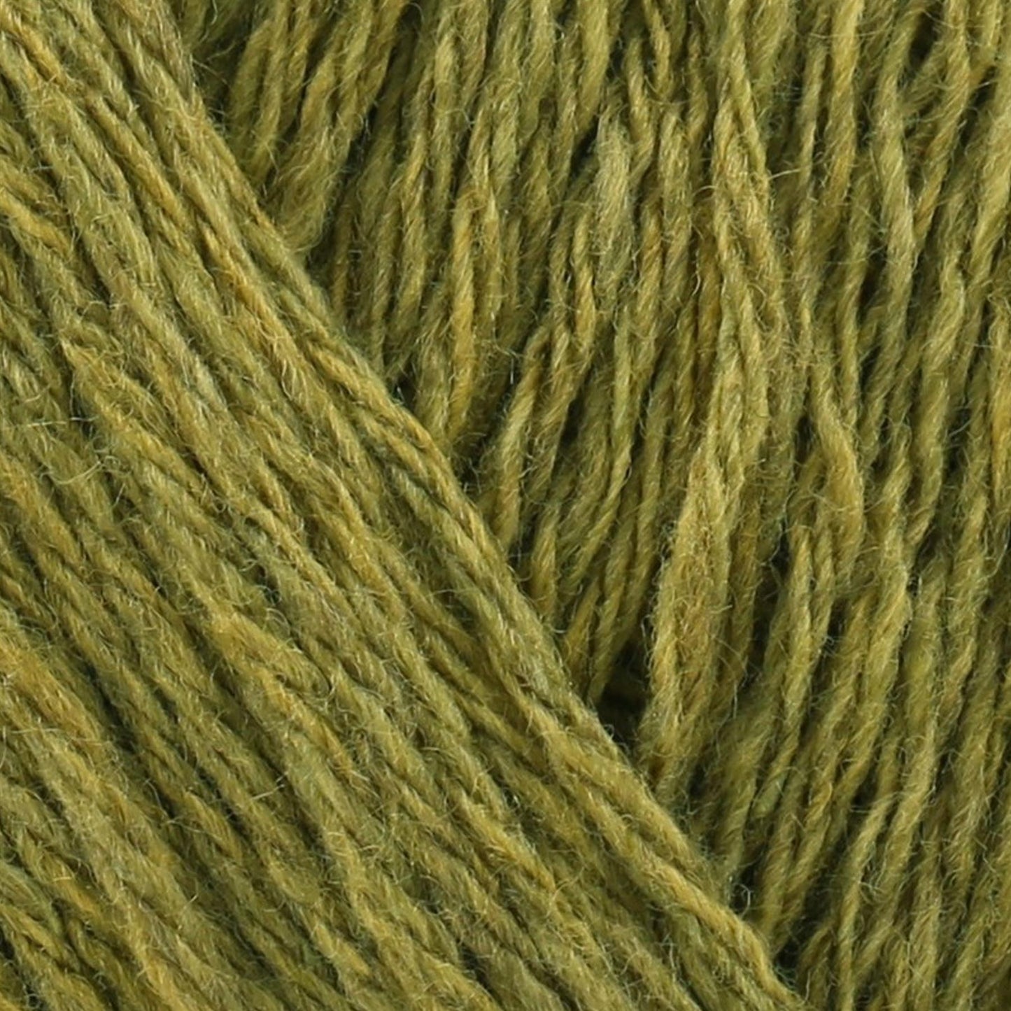 [Stylecraft] 3153189 Recreate Avocado (3189) 40% Wool, 30%Acrylic, 30% Polyester Yarn - 100g Double Knit