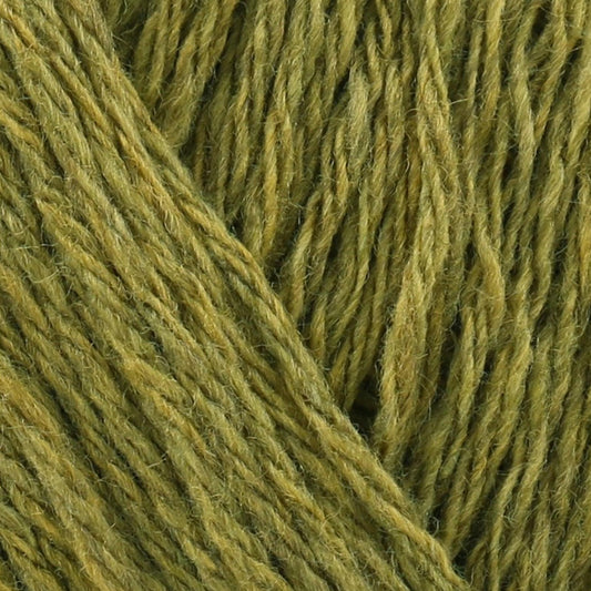 [Stylecraft] 3153189 Recreate Avocado (3189) 40% Wool, 30%Acrylic, 30% Polyester Yarn - 100g Double Knit