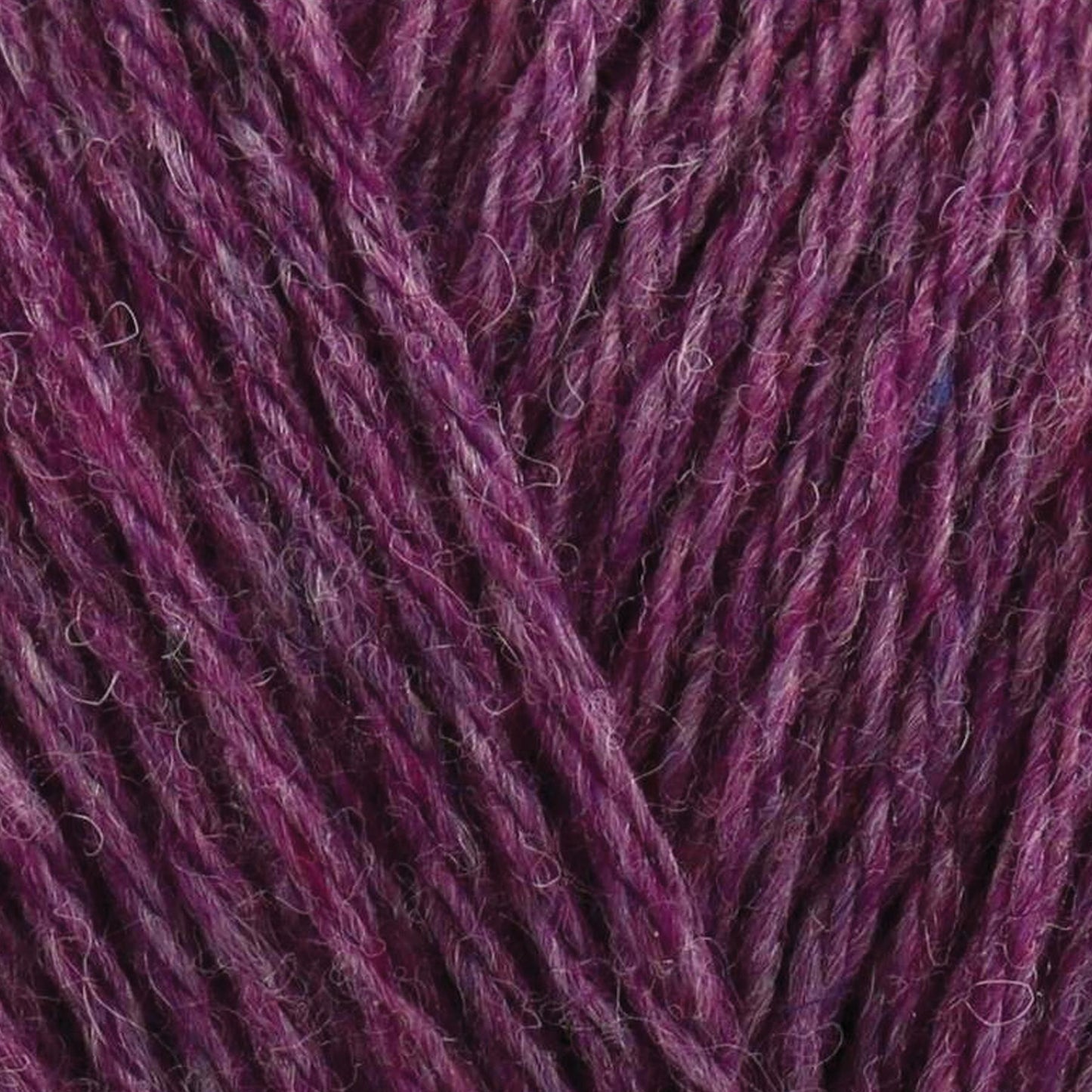Recreate 40% Wool, 30%Acrylic, 30% Polyester Yarn - 100g Double Knit