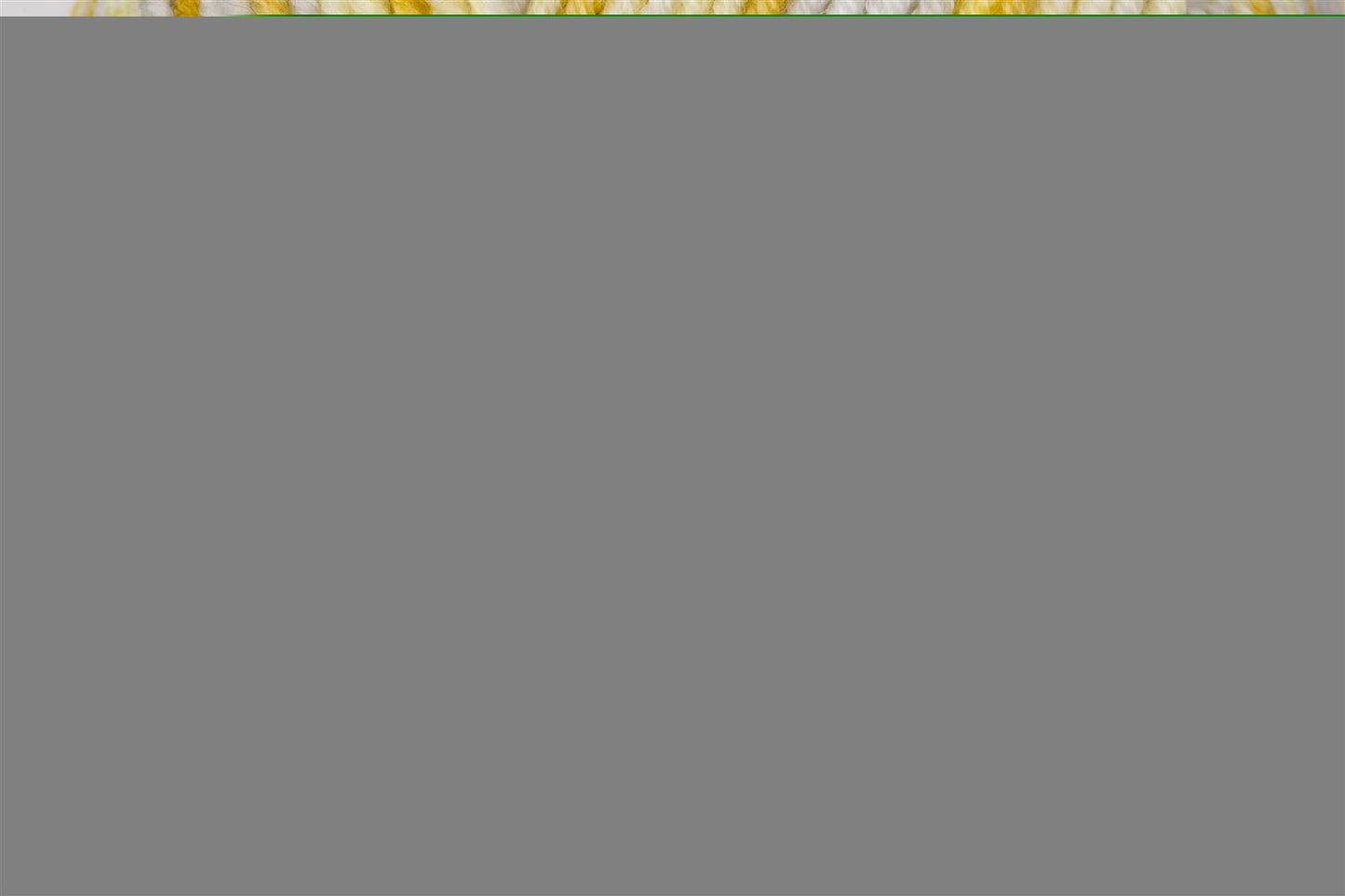 Bambino Prints 100% Premium Acrylic Yarn - 100g Double Knit