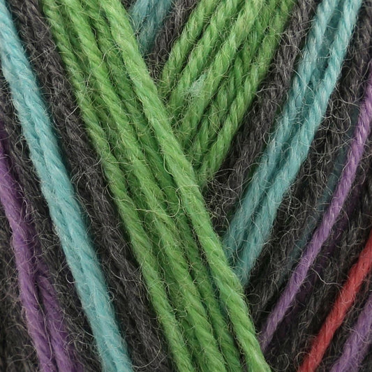 [James C Brett] FZB20 Funny Feetz with Bamboo Multi-Coloured 50% Superwash Wool, 25% Polyamide, 25% Bamboo Yarn - 100g 4 Ply