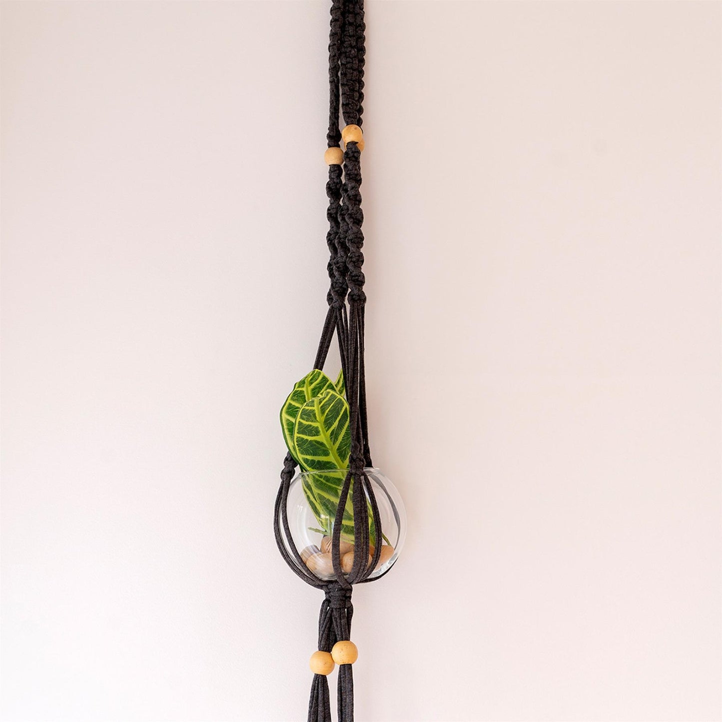 Hoooked Zpagetti Black Cotton Hanging Basket Macrame Kit