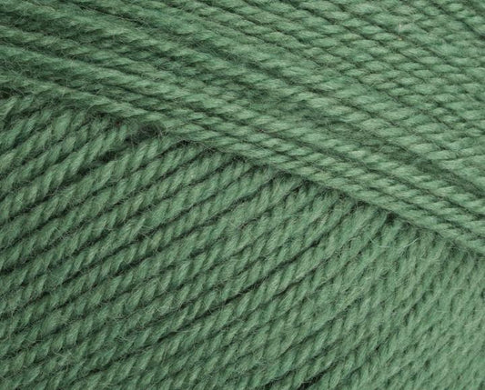 [Stylecraft] 9033980 Special Aran with Wool Succulent (3980) 80% Acrylic 20% Wool Yarn - 400g Aran